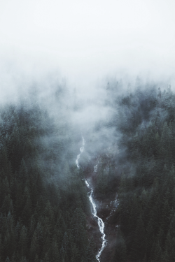 w-canvas:  Foggy Waterfall by Forrest Mankins