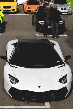 mistergoodlife:  Pole Position ║ Via ║ Goodlife