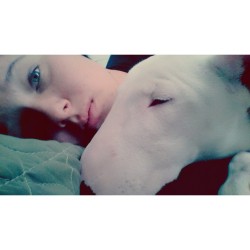 Nalla <3 #dog #bullterrier