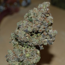 mortimer-says:  LeRoi ( Chem 91 X LA Kush )