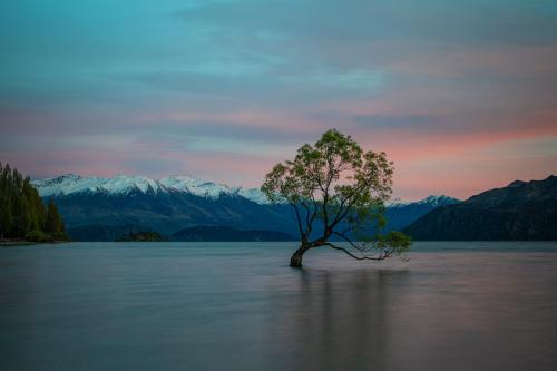 nicetrails:  New Zealand makes it too easy! Wanaka, Otago, New