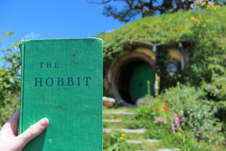 quincykate:  so i went to hobbiton and took a picture of my fifty