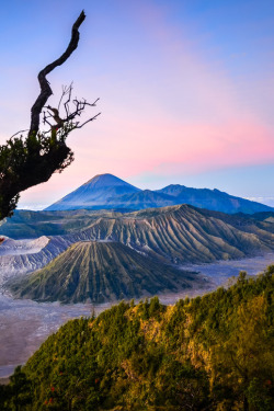 sundxwn:  The Great Bromo Mountain by Rivan Indra 