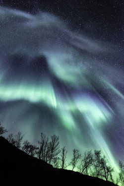 7stripes:  Forest Fire by Tor-Ivar Næss / 500px 