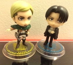 I officially have my first Erwin figure (Even if it’s chibi)! Ｏ(≧▽≦)Ｏ