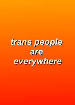 trainersilv: pay attention to us happy trans day of visibility!