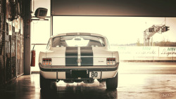 itcars:  Shelby GT350Image by Fodil Chibi