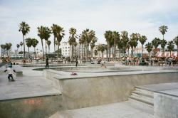 ahhlurkin:   	 Venice Beach    