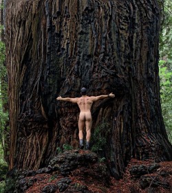 luz-natural:  I also love trees @misteroutdoors