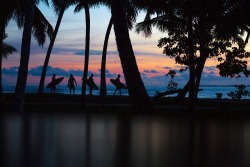 wavehunters:  the—one:  Buy your clothes for summer ! at Romwe