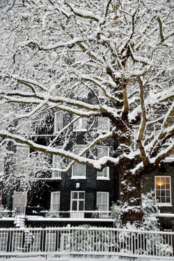 my-british-blog:  London Snow 09 by Paolo Camera