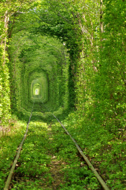 0rient-express:   Tunnel of love | by Oleg Gordienko.      