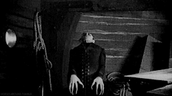 horsesaround:Nosferatu (1922)