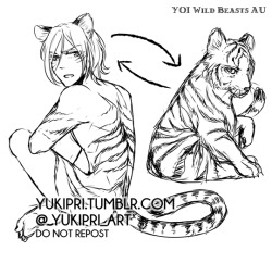 yukipri:  Tiger shapeshifter Yuriofrom the YOI Wild Beasts AUTiger