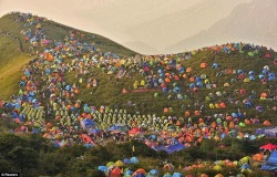 unicorn-meat-is-too-mainstream:  International Camping Festival
