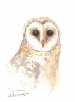 showantell:  Barn Owl Painitng, original watercolor painting,