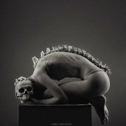 from-chrysalis-to:  art for today:by Vadim Stein more stuff here