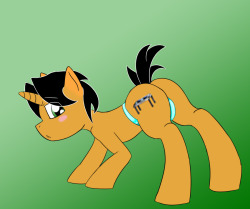 taboopony:  Wooo!!! pony panty day winners!! 1. ask-dj-a-string