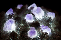 boredpanda:    We Make Unique Lamps From Real Crystals And Moss