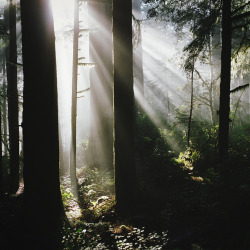 brutalgeneration:  the great outdoors, part four (by manyfires)