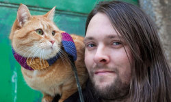 caterville:  A Street Cat Named Bob: The Cat that saved an Addict