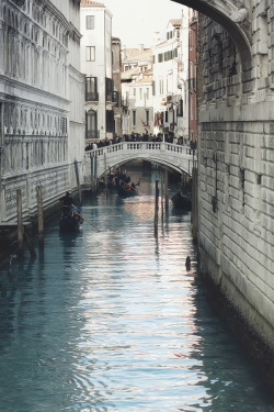 reals:  Venice Canal | Photographer  