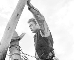 pierppasolini:  James Dean photographed by Frank Worth, on the