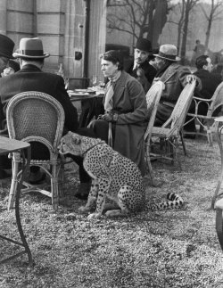 woluf:  life:  Woman sitting with her pet ocelot having tea at