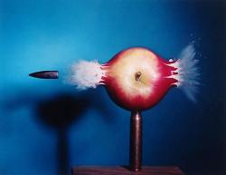 transvaal:  Harold Edgerton, Bullet Piercing Apple, 1964