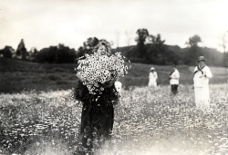 cemeterywind:  Circa 1910s, a cheerful group of Vassar College