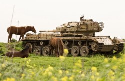 bmashina:    Horses graze near an abandoned Israeli tank in a