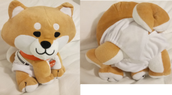 This shibe is quite the showoff! (the undies are from Build-A-Bear