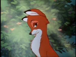 vixehn:aesthetic™