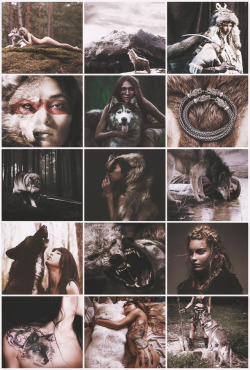 aestheticschaos:Wolf Warrior aesthetic