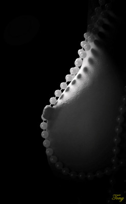 bellespetites.tumblr.com/post/65194203885/