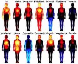 akashiclibrary:  Mapa térmico de reacciones emocionales… (Si,