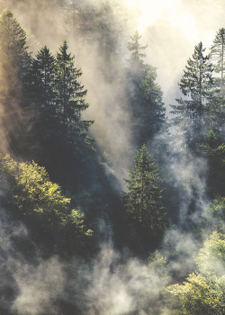 travellingcolours:  mostly nature 