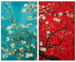 miscellame:  Vincent van Gogh- from “Almond Blossoms” series