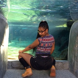 beyonce-huxtable:  I went to the aquarium today and couldn’t