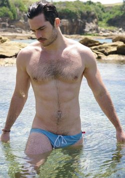 Dedicated Follower of Bulges