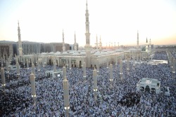 aboohurayrah:  ‘Eid ul Fitr Prayer today at the Prophets Mosque,