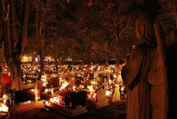 a-loss-forever-new:  All Saints’ Day 2012 by KrzysztofTe Foto