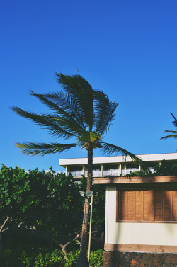 tommymajor:  006 | via | more 