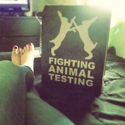 sarahstardusst:  #rabbitboxing #toes #lazyday @lushcosmetics