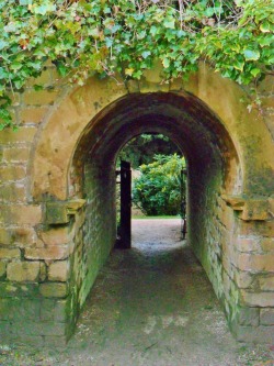 vwcampervan-aldridge:  Ivy covered tunnel to walled secret garden,