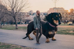 mymodernmet:  Guy Photoshops Tiny Dog to Reflect How Big She
