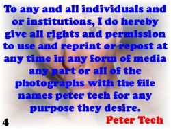 peter-tech-sissy-queer:  Instruct Peter Tech To Email You all