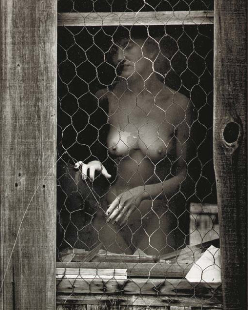 hauntedbystorytelling:  Wynn Bullock :: Nude, 1963 /  more [ ] by this photographer    