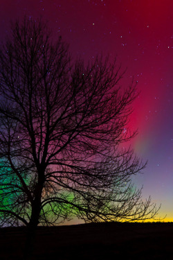 spaceexp:  The Aurora Borealis. Photo by Andrew Cameron. .
