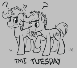 toomuchnotsafeforhoofs:  We’re back. Its Tuesday day. Ask away